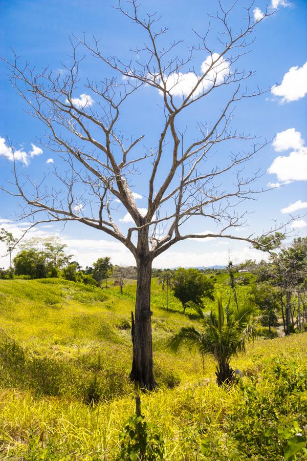 Paisaje en Montelibano, Corboba, Colombia