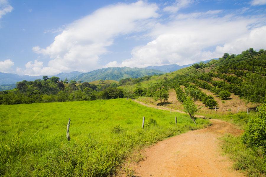 Paisaje en Tamesis, Suroeste Antioqueño, Antioqui...