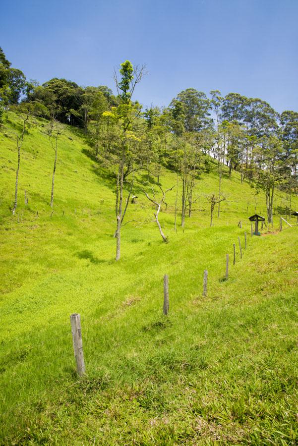 Paisaje Venecia, Antioquia, Colombia