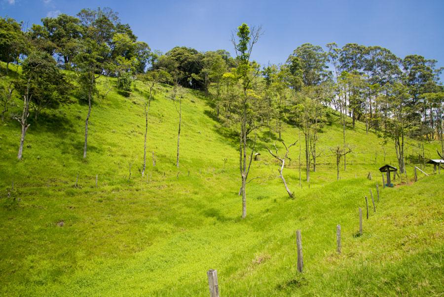 Paisaje Venecia, Antioquia, Colombia