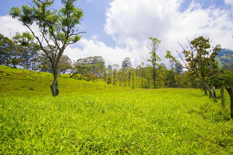 Paisaje Venecia, Antioquia, Colombia