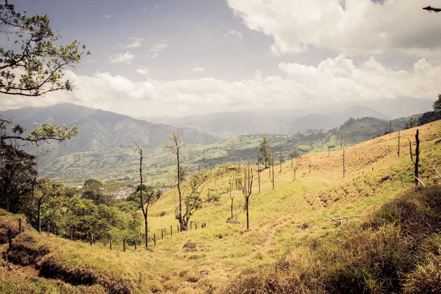 Paisaje Venecia, Antioquia, Colombia