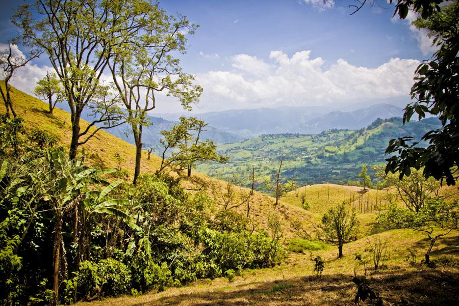 Paisaje Venecia, Antioquia, Colombia