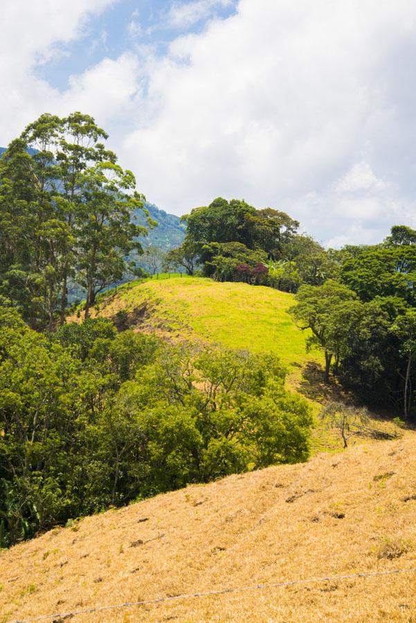 Paisaje Venecia, Antioquia, Colombia