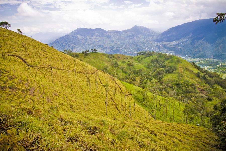 Paisaje Venecia, Antioquia, Colombia