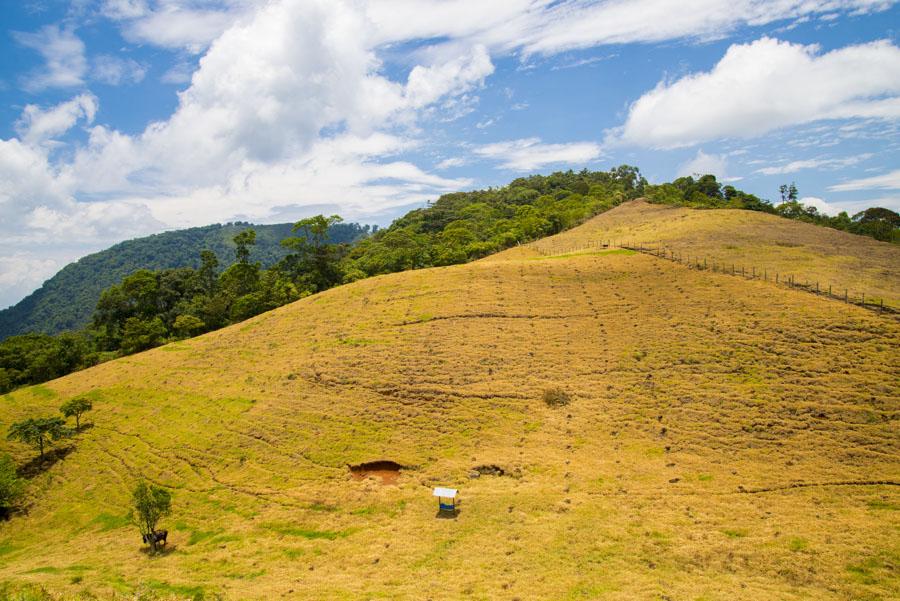 Paisaje Venecia, Antioquia, Colombia