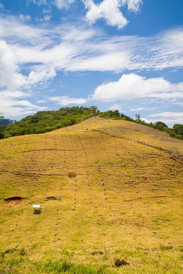 Paisaje Venecia, Antioquia, Colombia