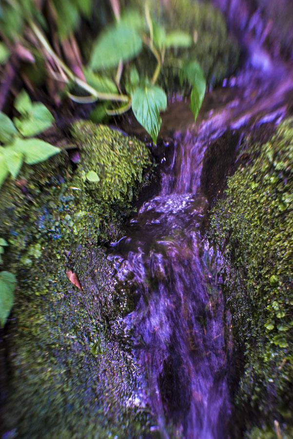 Detalle Naturaleza y Agua