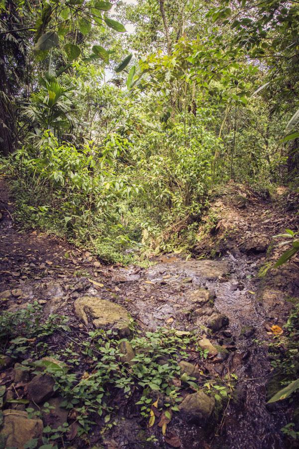 Paisaje Venecia, Antioquia, Colombia