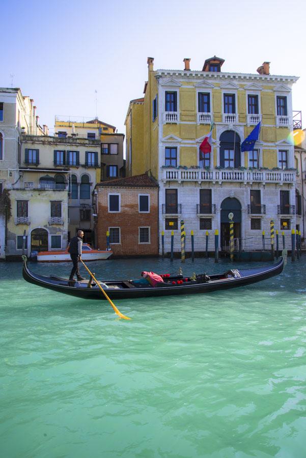 Gran Canal, Venecia, Veneto, Italia, Europa Occide...