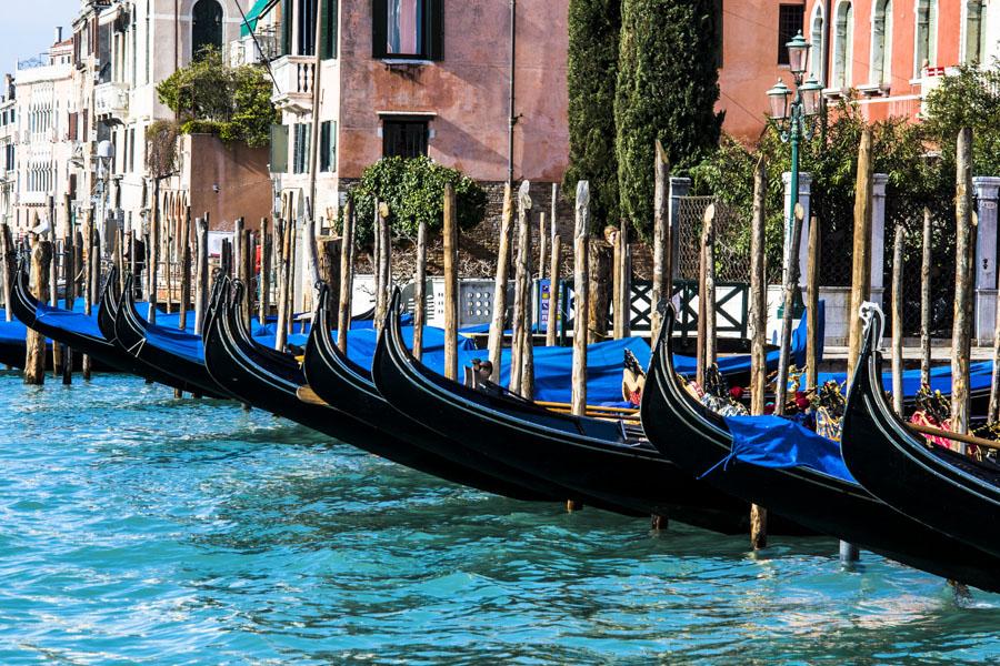 Gran Canal, Venecia, Veneto, Italia, Europa Occide...