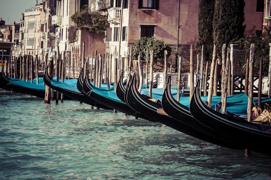 Gran Canal, Venecia, Veneto, Italia, Europa Occide...