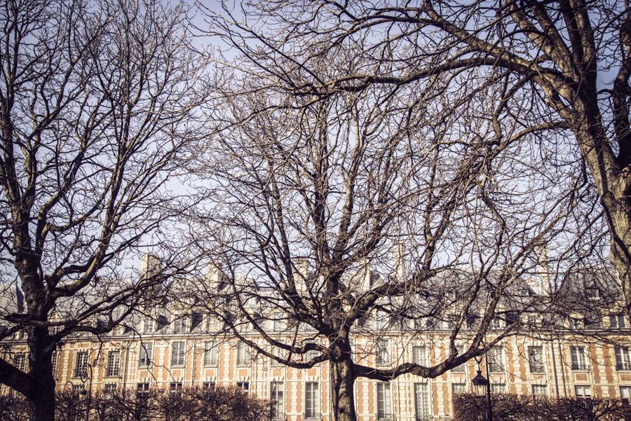 Plaza de los Vosgos, Palacio Real, Paris, Francia,...