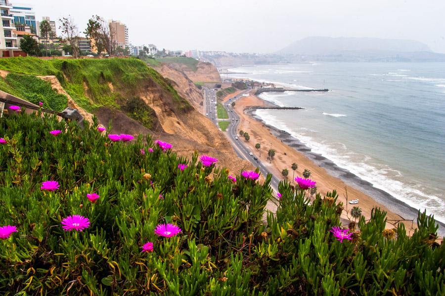 Via PanameriCaña, Lima, Peru, Sur America