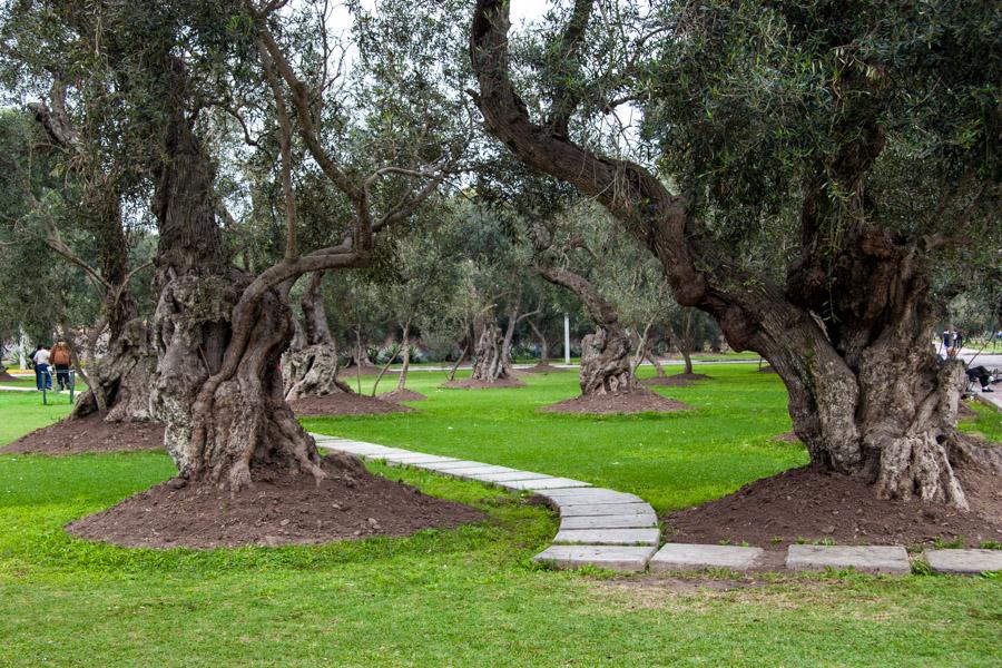 Parque Central - Pintores, Miraflores, Lima, Peru,...