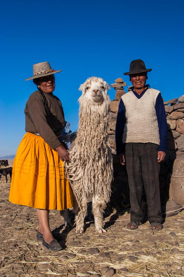 Pareja de Indigenas con Alpaca Departamento del Pu...