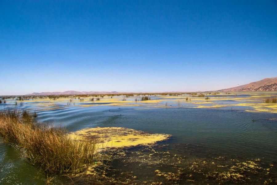 Lago Titicaca, Provincia del Puno, Peru, Cuzco, Cu...