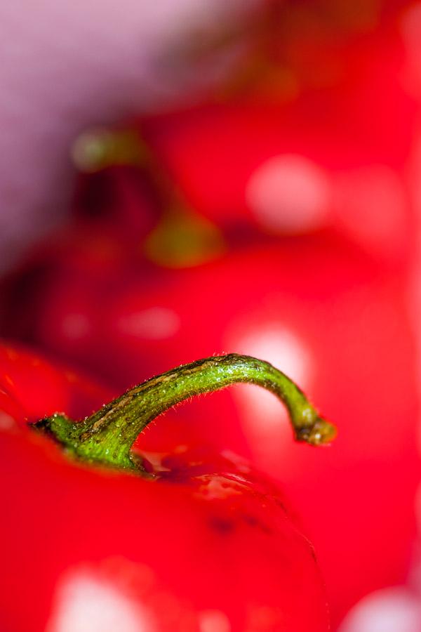 Detalle del palo de un aji