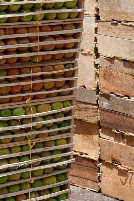 Cajas de Tomates