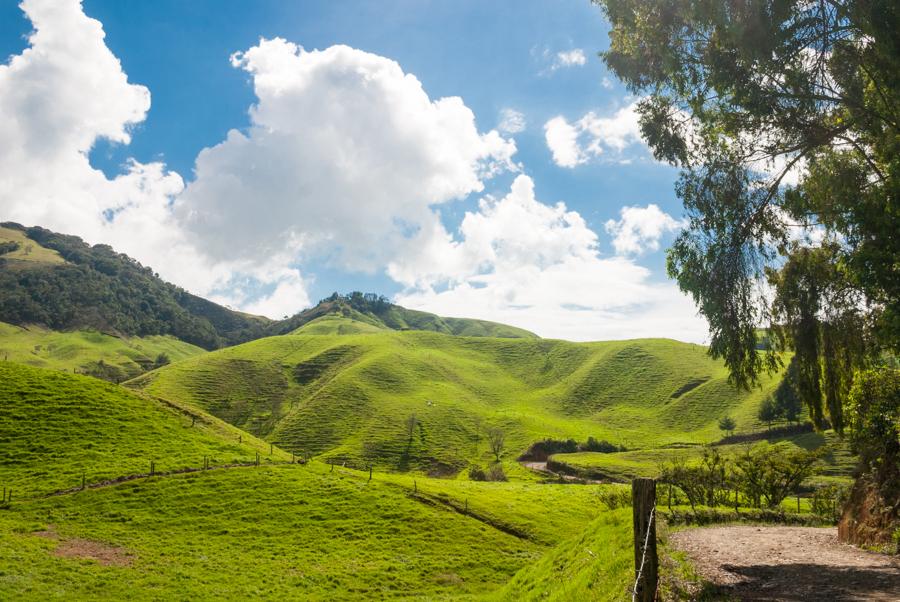 Paisaje Campestre