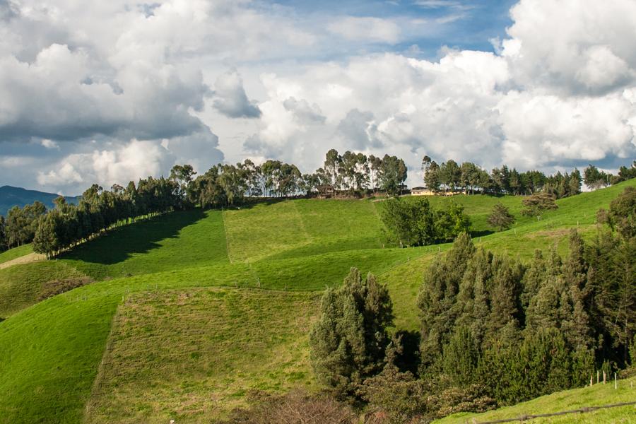 Paisaje en el Municipio de San Pedro Ovejas Antioq...