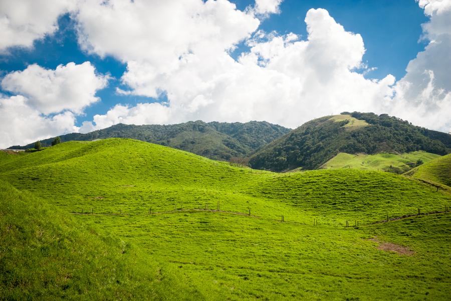 Paisaje Campestre