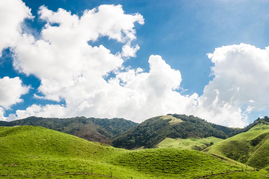 Paisaje Campestre