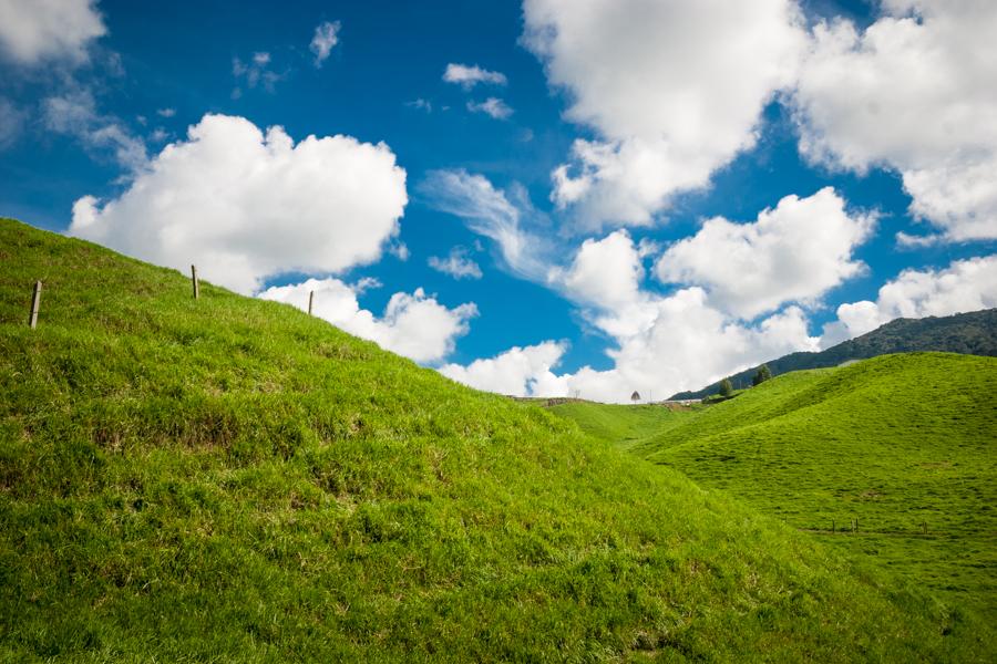 Paisaje Campestre