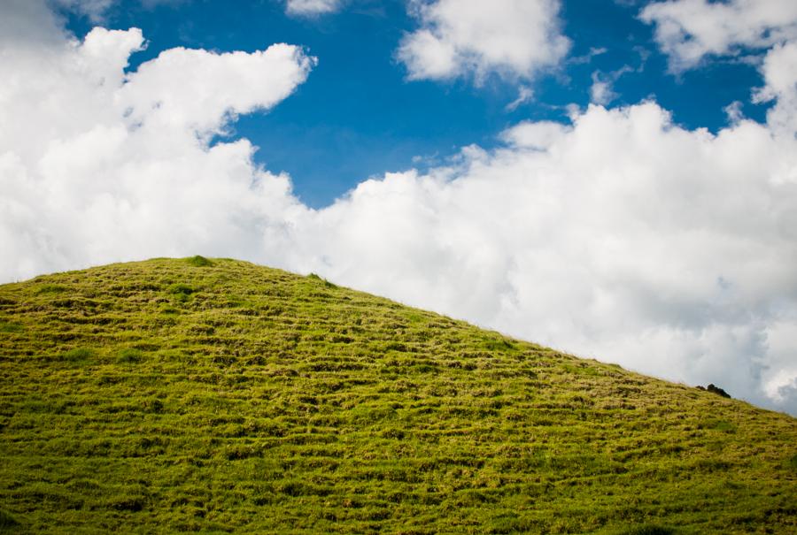 Paisaje Campestre