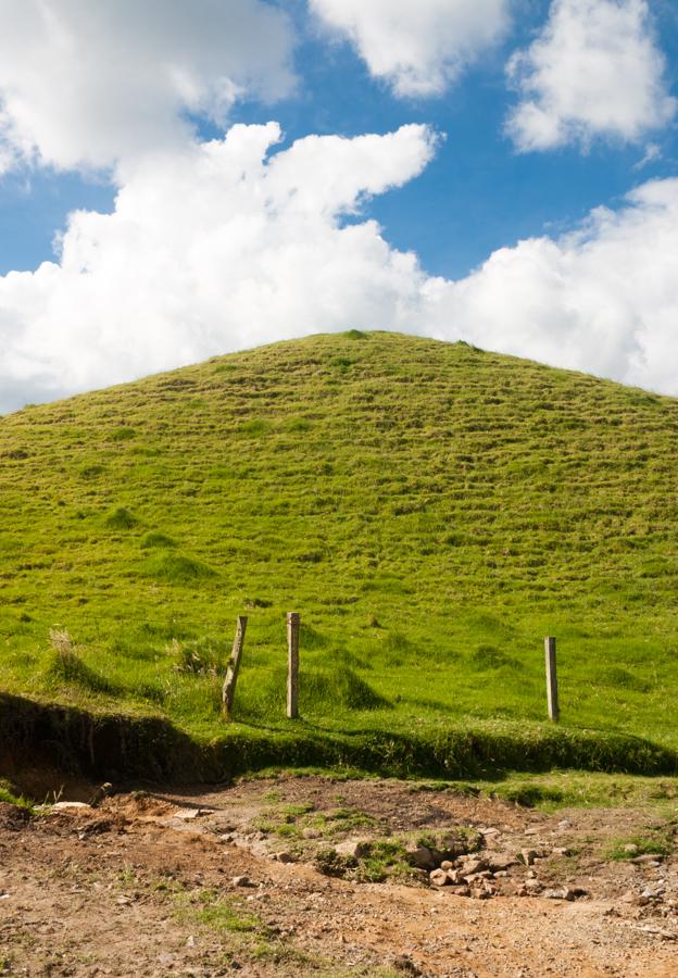 Paisaje Campestre