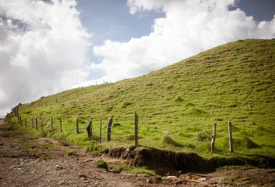 Paisaje Campestre