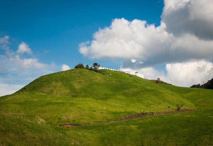 Paisaje Campestre