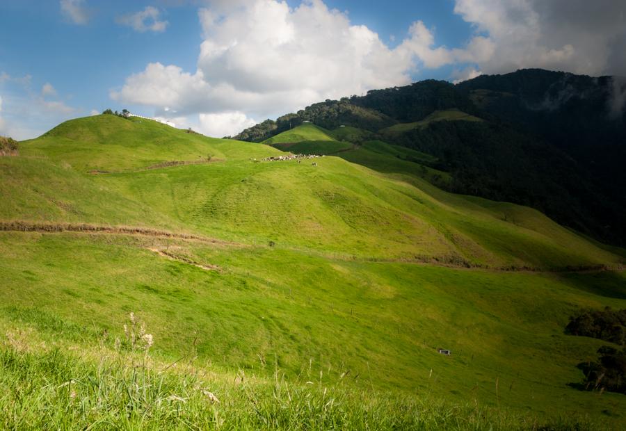 Paisaje Campestre