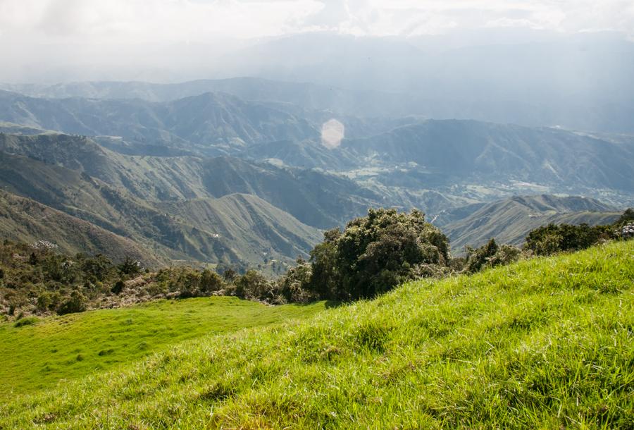 Paisaje Campestre