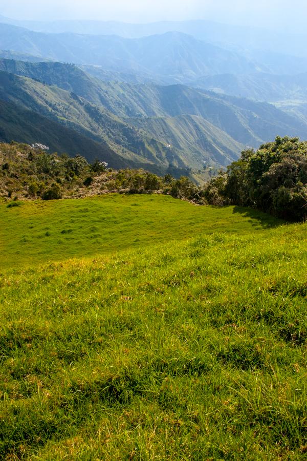 Paisaje Campestre