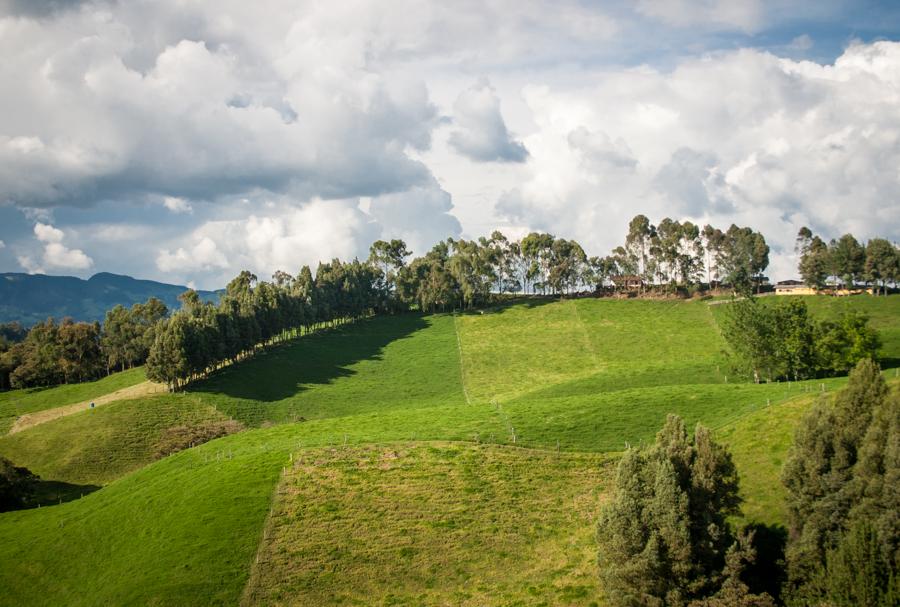 Paisaje en el Municipio de San Pedro Ovejas Antioq...