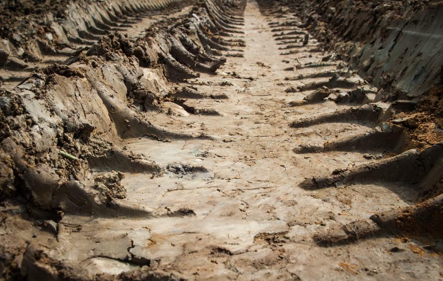 Textura de pantano seco