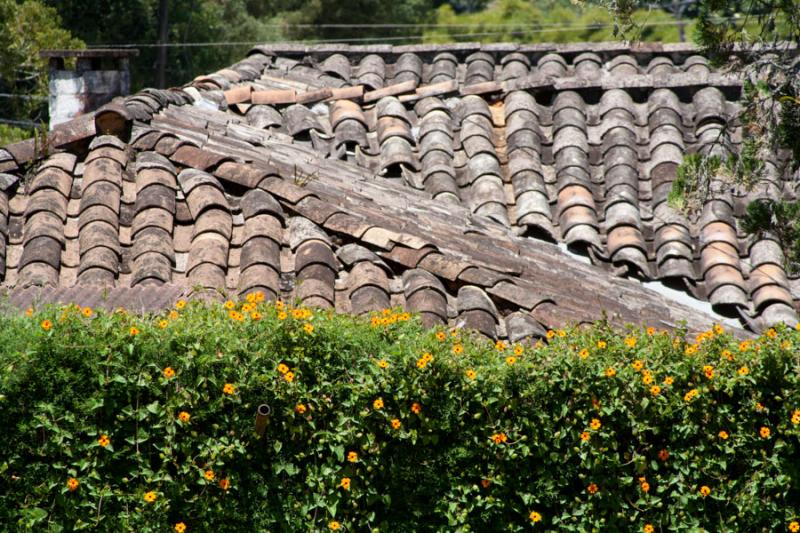 Tajado de una Vivienda