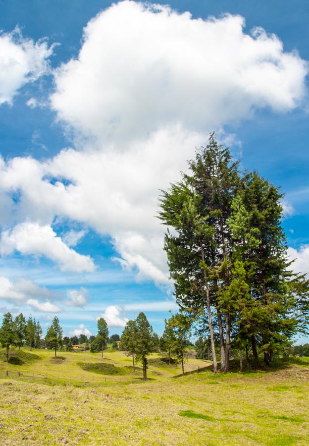 Paisaje en Santa Elena, Antioquia, Colombia