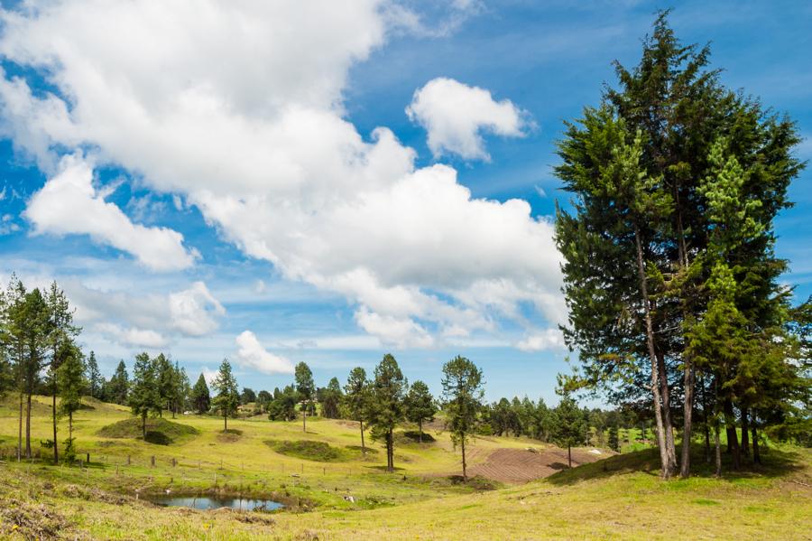 Paisaje en Santa Elena, Antioquia, Colombia