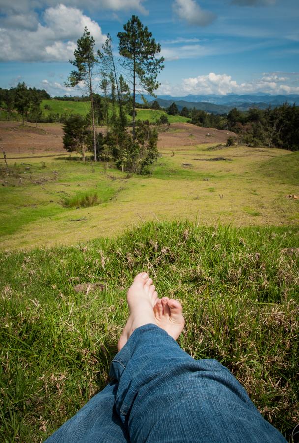 Pies sobre el pasto en un paisaje