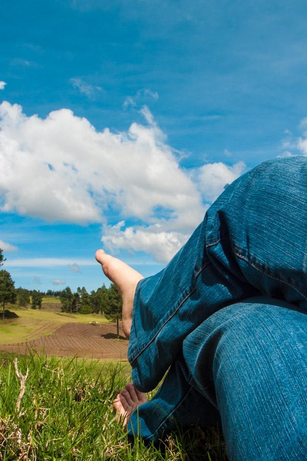 Piessobre el pasto en un paisaje