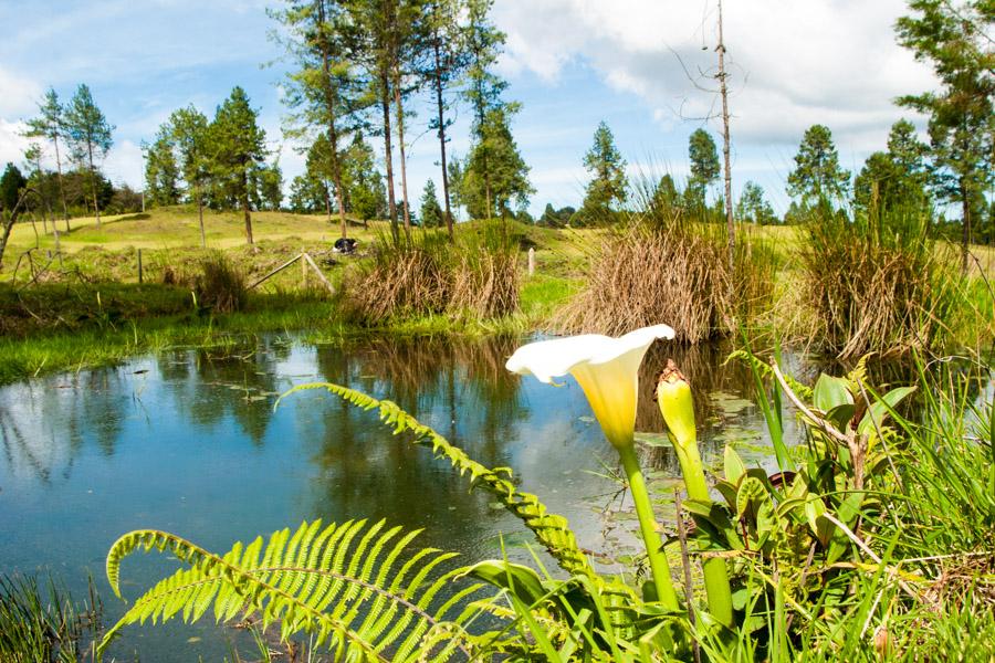 Paisaje con un lago en Santa Elena, Antioquia, Col...