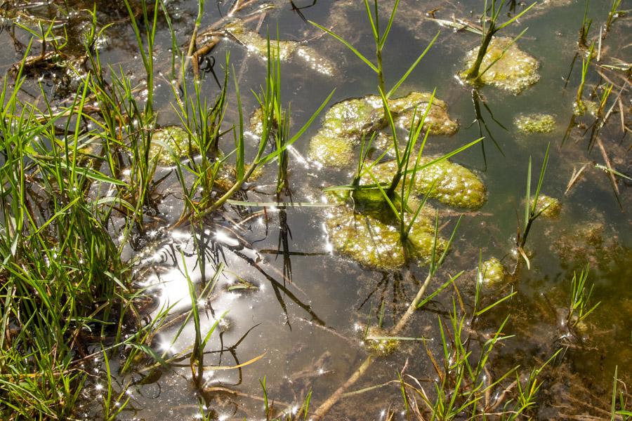 Reflejo del sol sobre el Agua