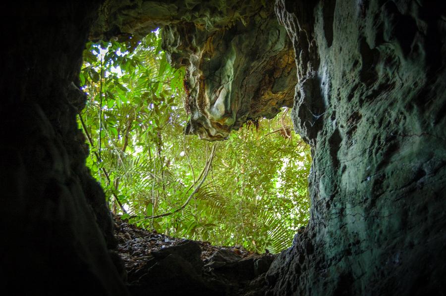 Cueva, Reserva del Cañon Rio Alicante, Antioquia,...