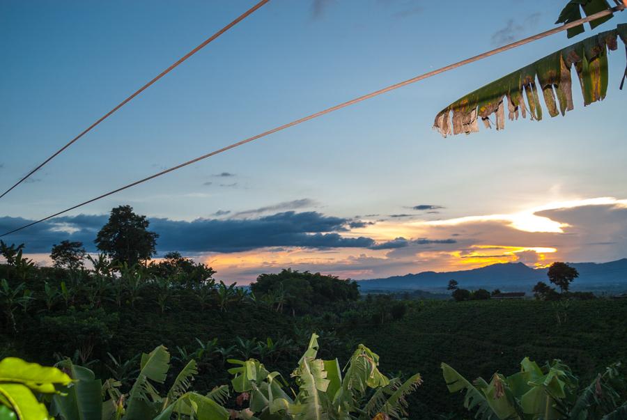 Quindio, Quimbaya, Eje Cafetero