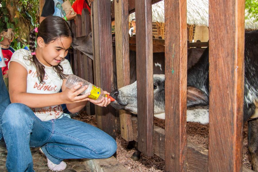 Niña Turista Acariciando Oveja en Panaca, QuIndio...