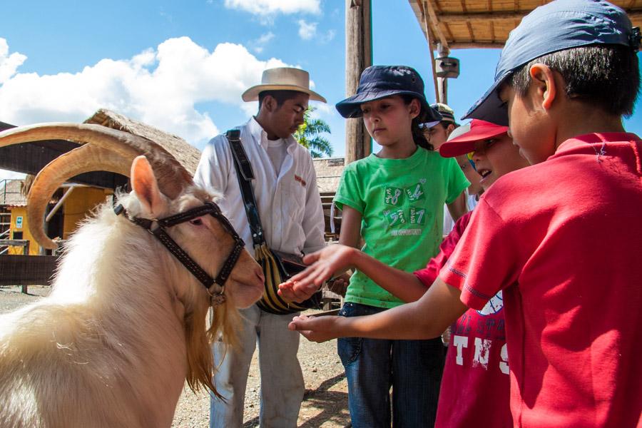 Grupo de Niños Alimentando una Cabra en Panaca, Q...