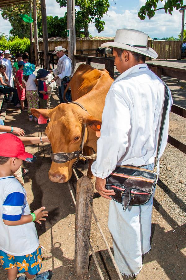 Personas AdMirando una Vaca en un espectaculo en P...