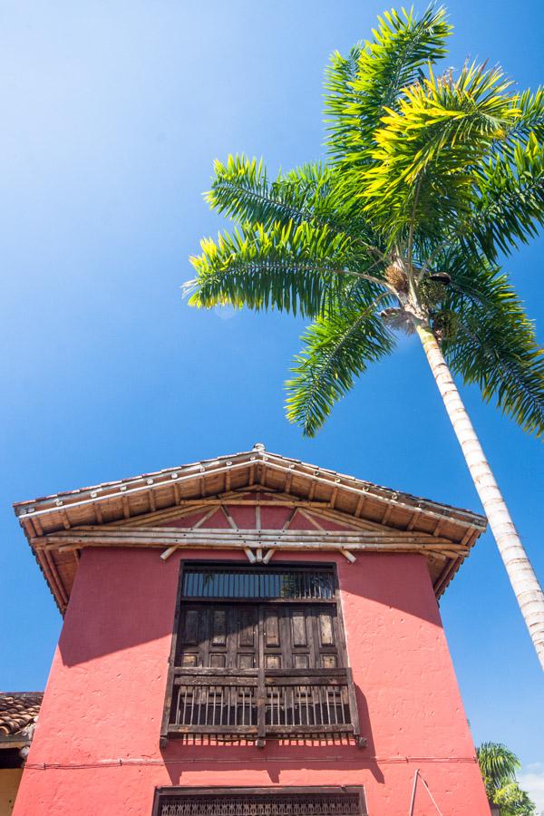 Detalle Arquitectonico con Palmera en Quimbaya, Pa...